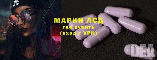 соль ск Дмитриев