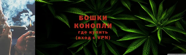 соль ск Дмитриев