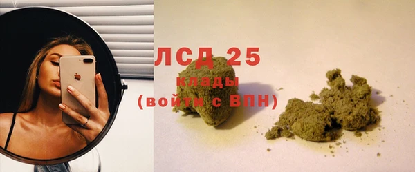 соль ск Дмитриев