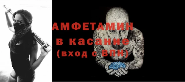 соль ск Дмитриев