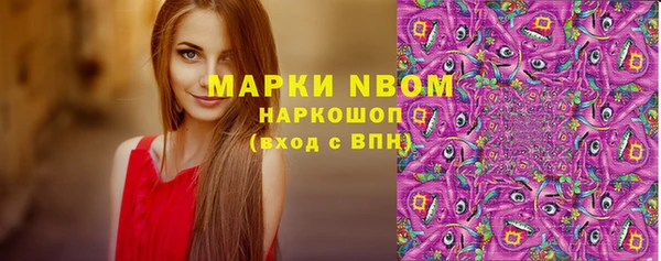 соль ск Дмитриев