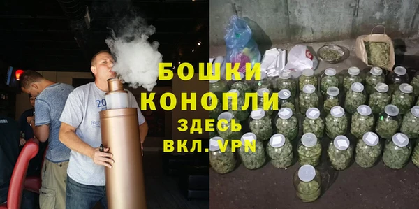 молекула духа Дмитровск