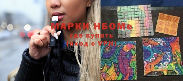 соль ск Дмитриев