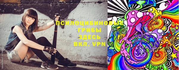 молекула духа Дмитровск