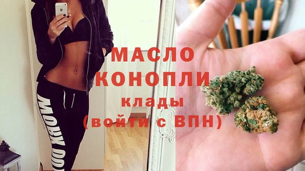 соль ск Дмитриев