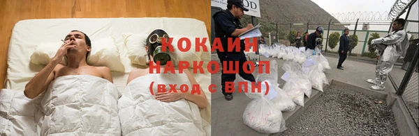 молекула духа Дмитровск