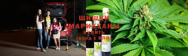 молекула духа Дмитровск