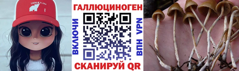 Галлюциногенные грибы Magic Shrooms  Купить где  Облучье 
